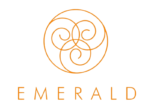 emerald-jewel-jewellery-industry-gemstone-limited-company-png-favpng-mqtzmJU502Gfef2SyS1ka7TY1-removebg-preview